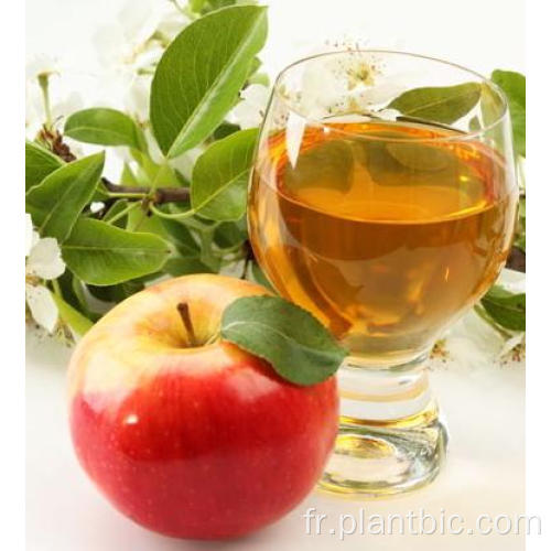 Poudre de vinaigre de cidre de pomme d&#39;acide de pomme à 5% de haute qualité